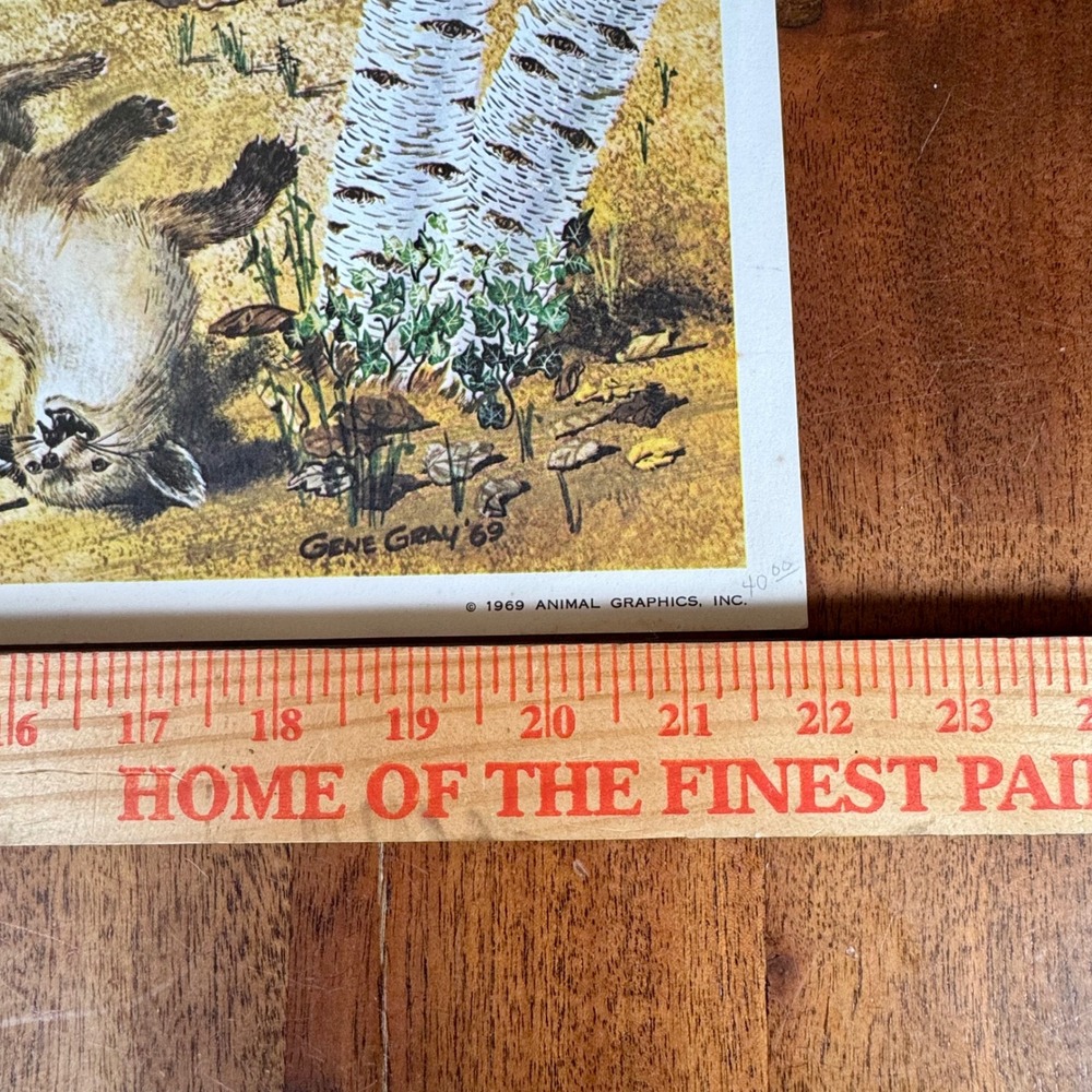 Vintage 1969 Gene Gray The American Red Fox Signed Lithograph Print 18x22 - Picture 8 of 9